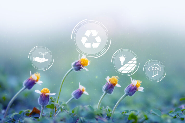 Sustainable Living on a Budget: Eco-Friendly Money-Saving Hacks