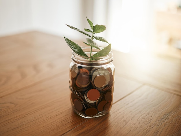 Investing Money Jar