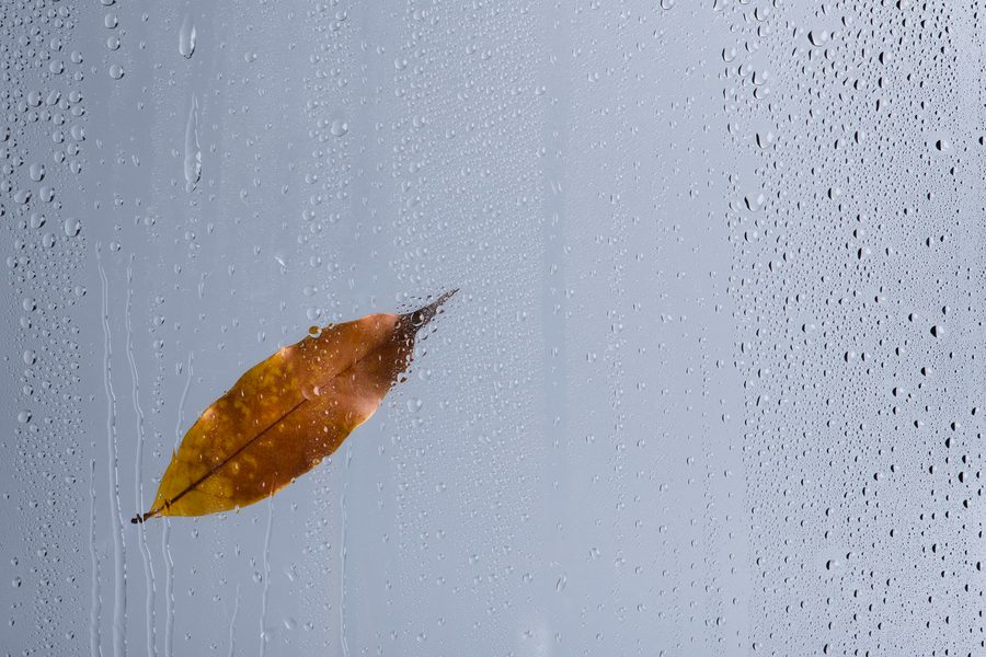 Smart umbrella battery life decreases by 18% after 30 days in coastal high-humidity zones
